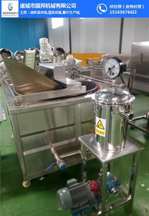 广东实验性油炸设备 国邦食品机械 实验性油炸设备哪里有卖